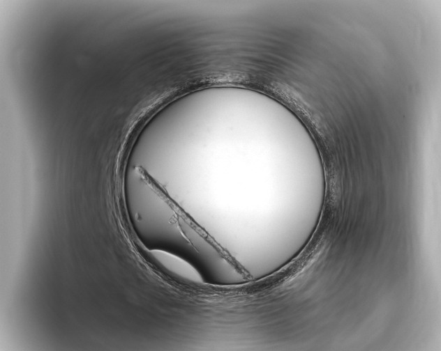 X0000094370721200711020752