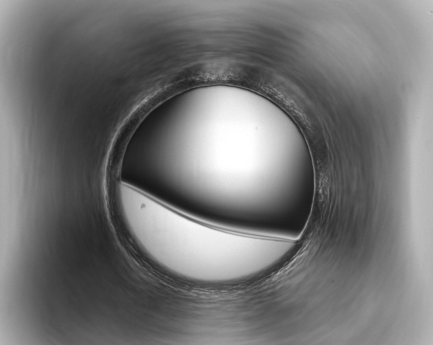 X0000094370722200711020753