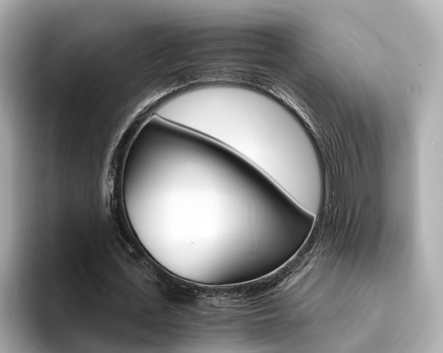 X0000094370723200711020753