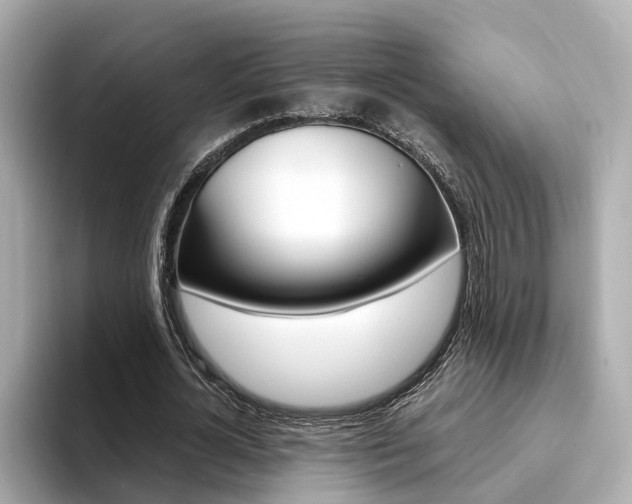 X0000094370724200711020753