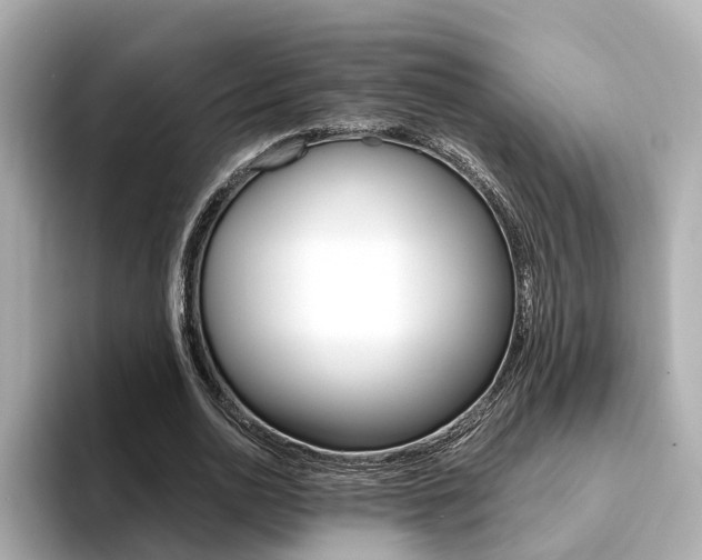 X0000094370726200711020753