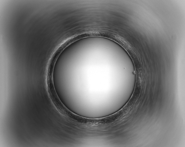 X0000094370728200711020753