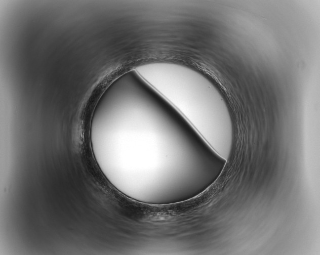 X0000094370731200711020753