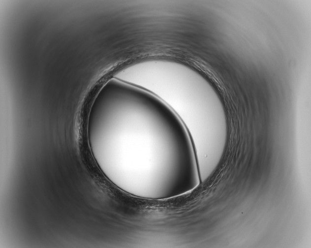 X0000094370732200711020753