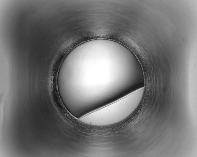 X0000094370736200711020753
