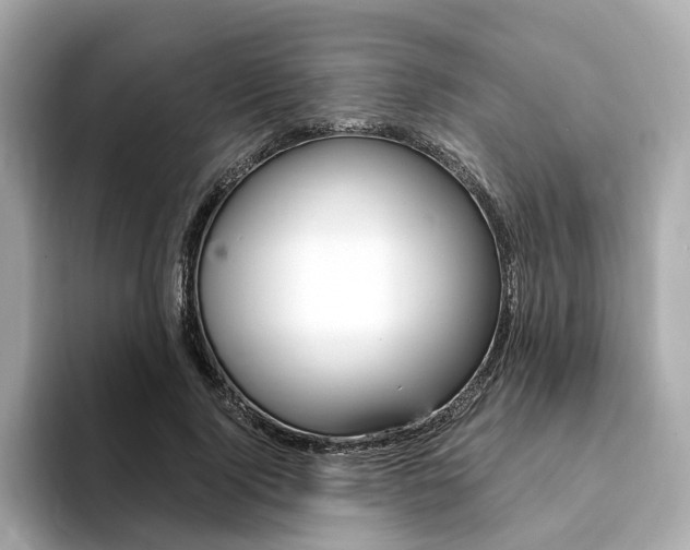 X0000094370740200711020753