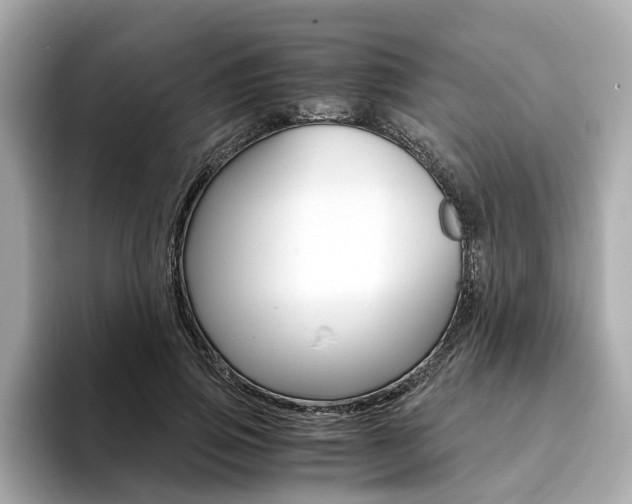 X0000094370741200711020753
