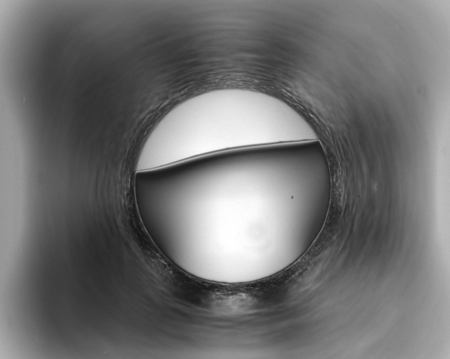 X0000094370747200711020753