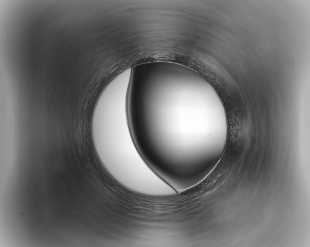 X0000094370748200711020753