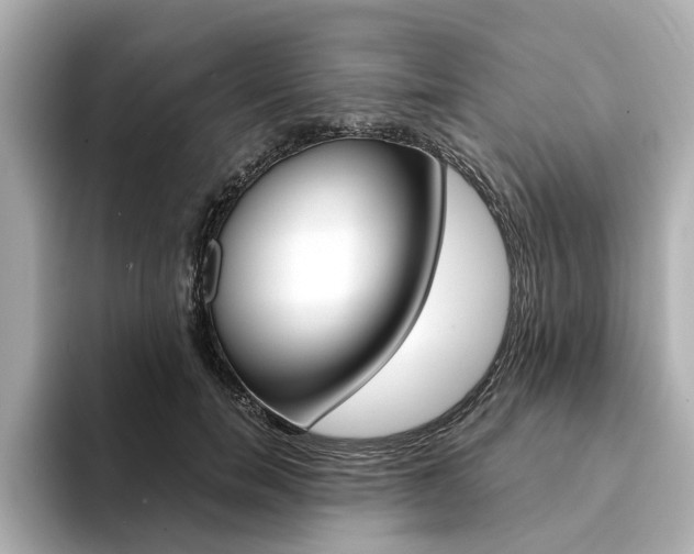 X0000094370750200711020753
