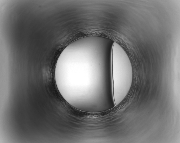 X0000094370751200711020753