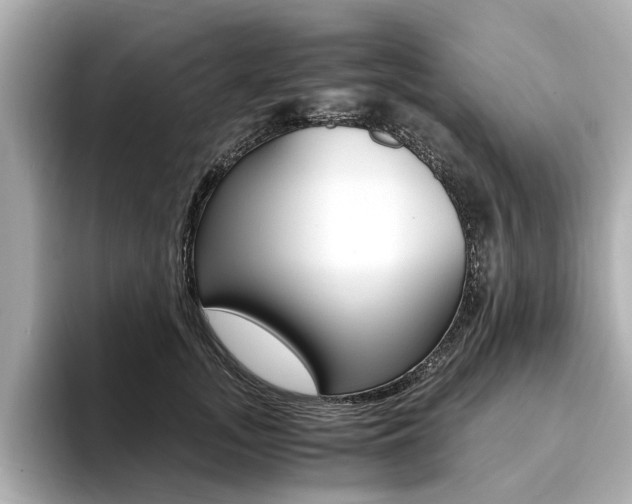 X0000094370755200711020753