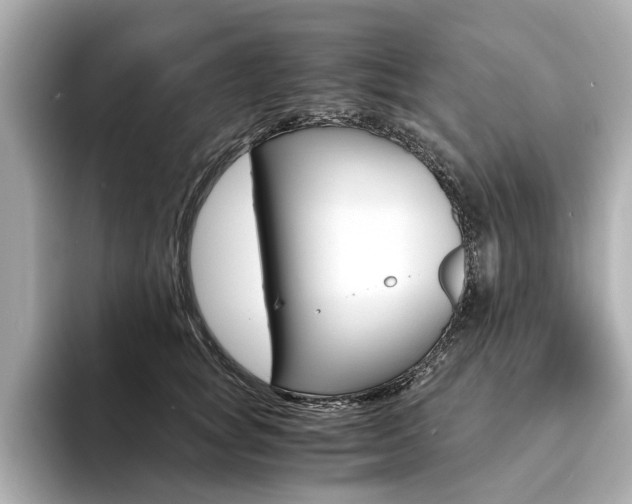 X0000094370757200711020753