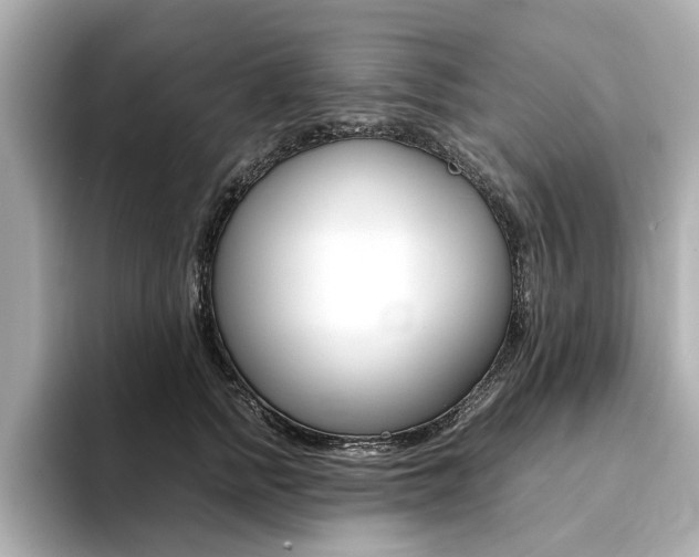 X0000094370758200711020753