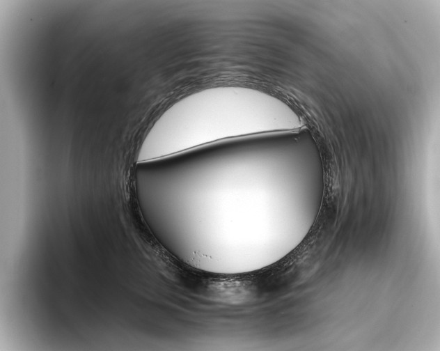 X0000094370759200711020753