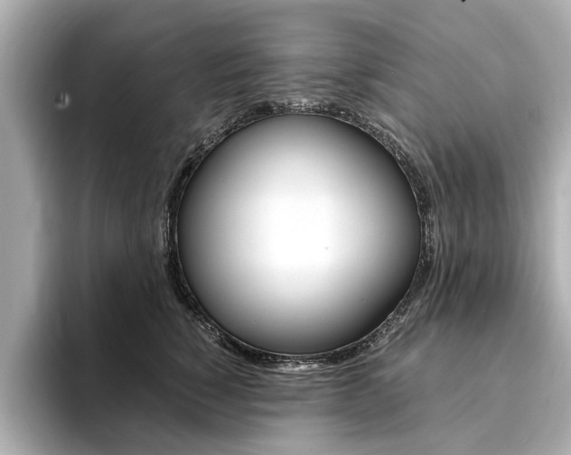 X0000094370760200711020753