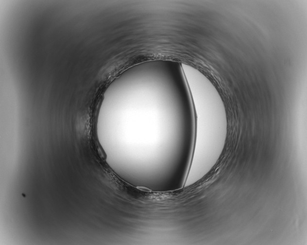 X0000094370762200711020753