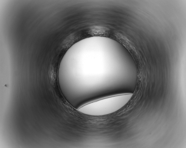 X0000094370763200711020753