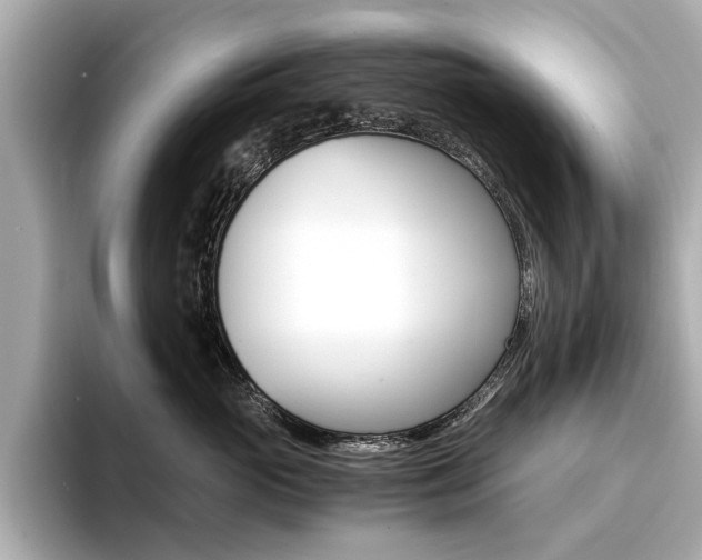 X0000094370765200711020753