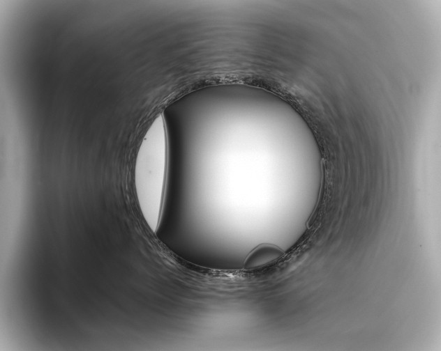 X0000094370768200711020753