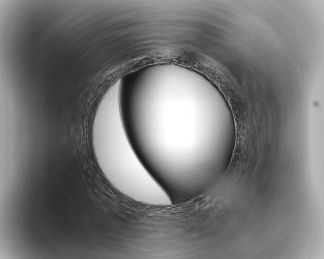 X0000094370773200711020752