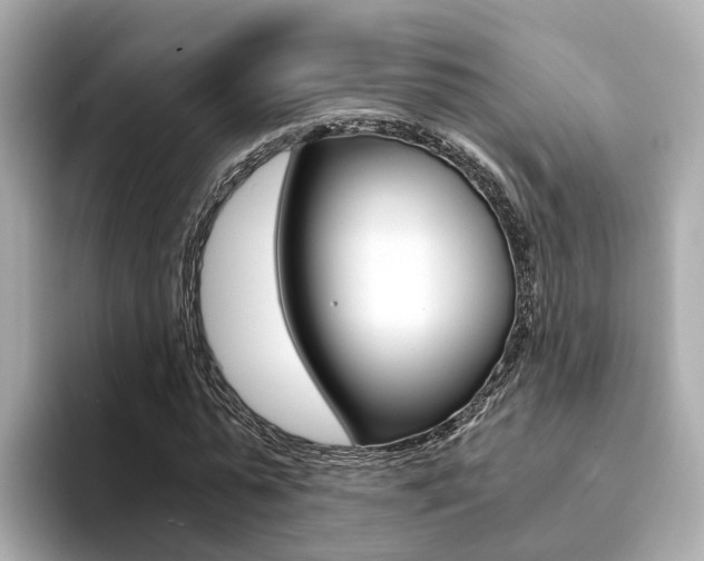 X0000094370775200711020752