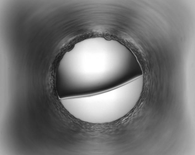 X0000094370776200711020752