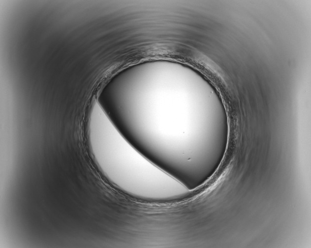 X0000094370777200711020752
