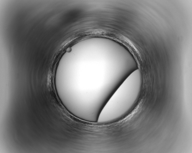 X0000094370778200711020752