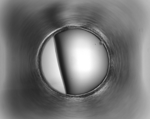 X0000094370779200711020752
