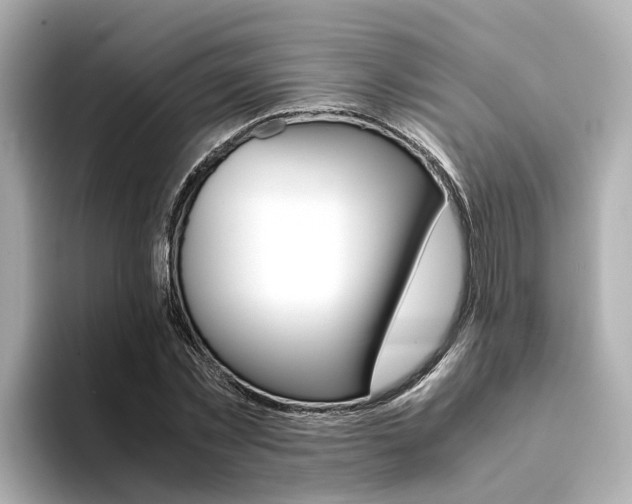 X0000094370781200711020752