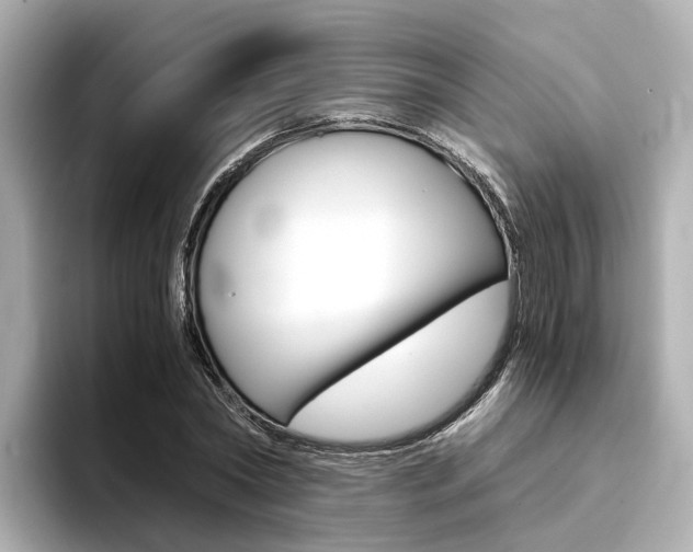 X0000094370782200711020752