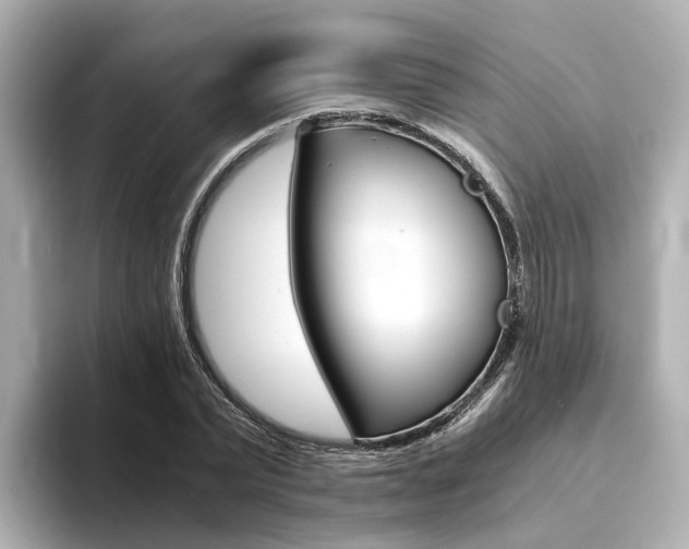 X0000094370783200711020752