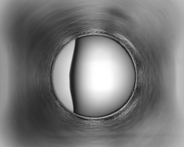 X0000094370785200711020752
