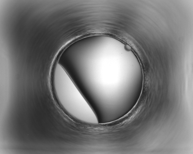 X0000094370787200711020752