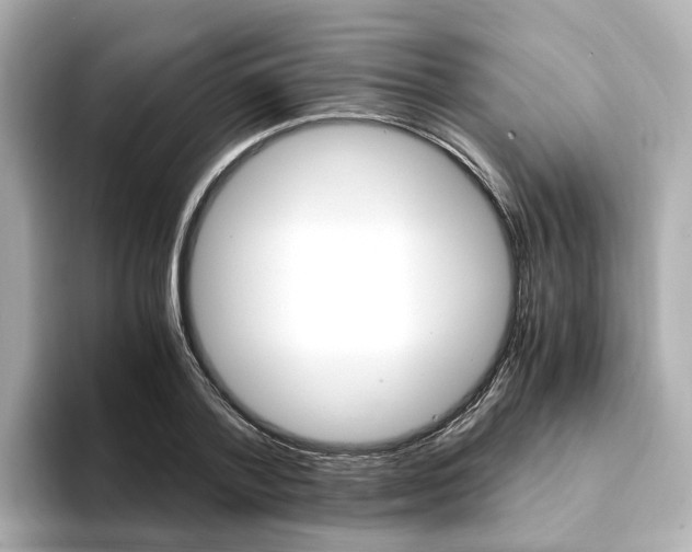X0000094370788200711020752