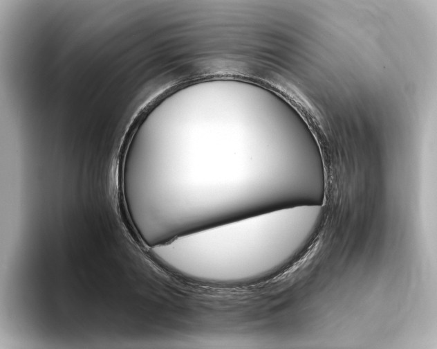 X0000094370790200711020752