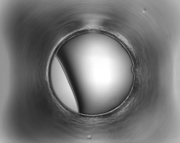 X0000094370791200711020752
