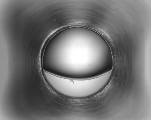 X0000094370792200711020752