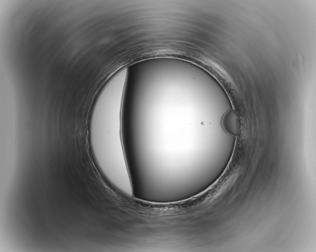 X0000094370793200711020752