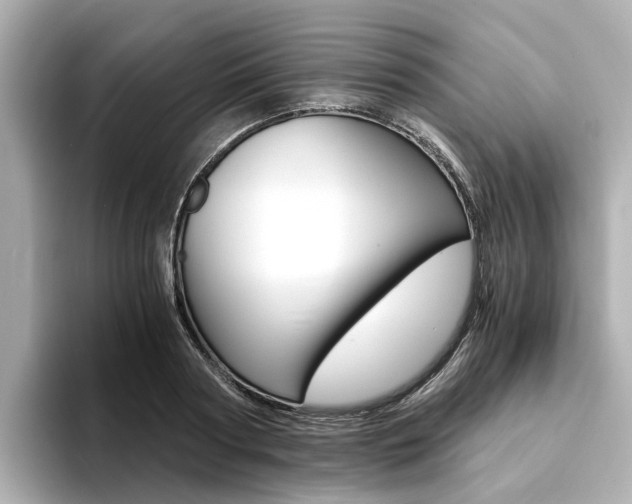 X0000094370794200711020752