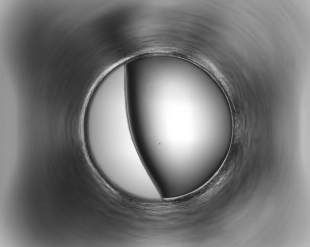X0000094370795200711020752