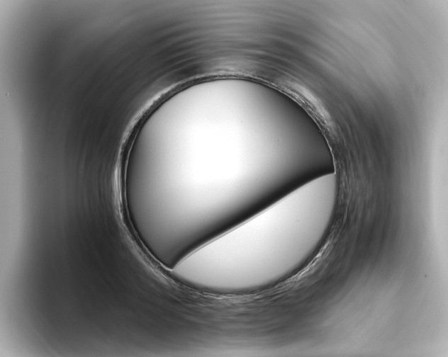 X0000094370796200711020752