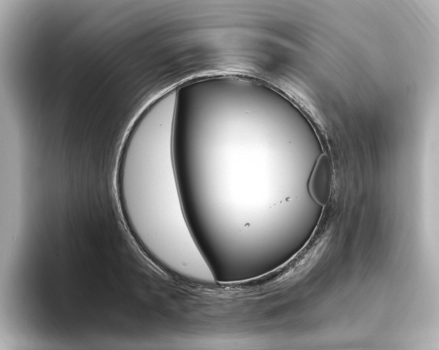 X0000094370797200711020752