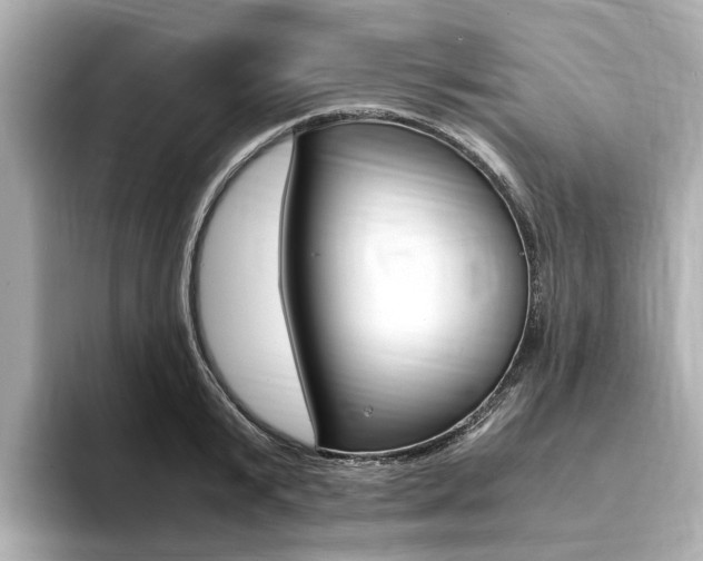 X0000094370799200711020752