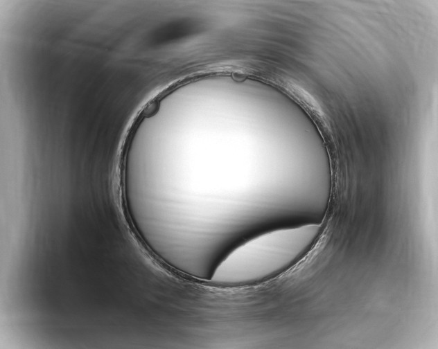 X0000094370800200711020752