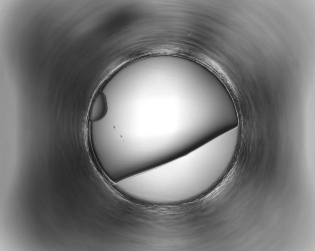 X0000094370802200711020752