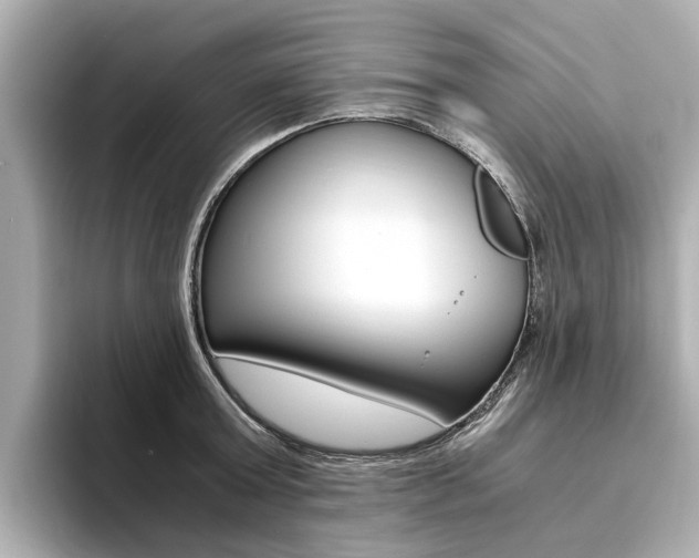 X0000094370803200711020752