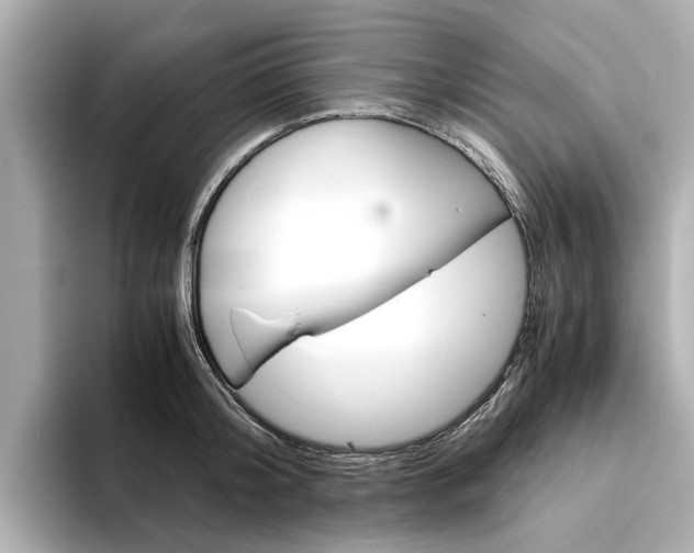 X0000094370804200711020752