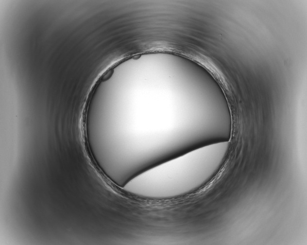 X0000094370806200711020752